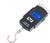 Portable Weighing Scale